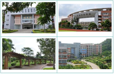 广州科技贸易职业学院招生简章,广州科技贸易职业学院2024年招生