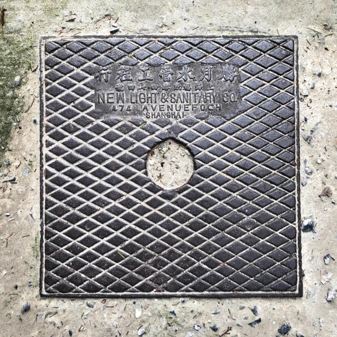 不要错过上海的春天,不要错过上海的夏天