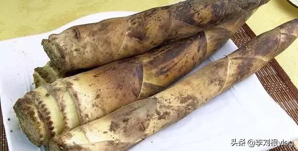 竹笋炖鸡肉的做法大全家常,竹笋怎么做好吃又简单家常做法