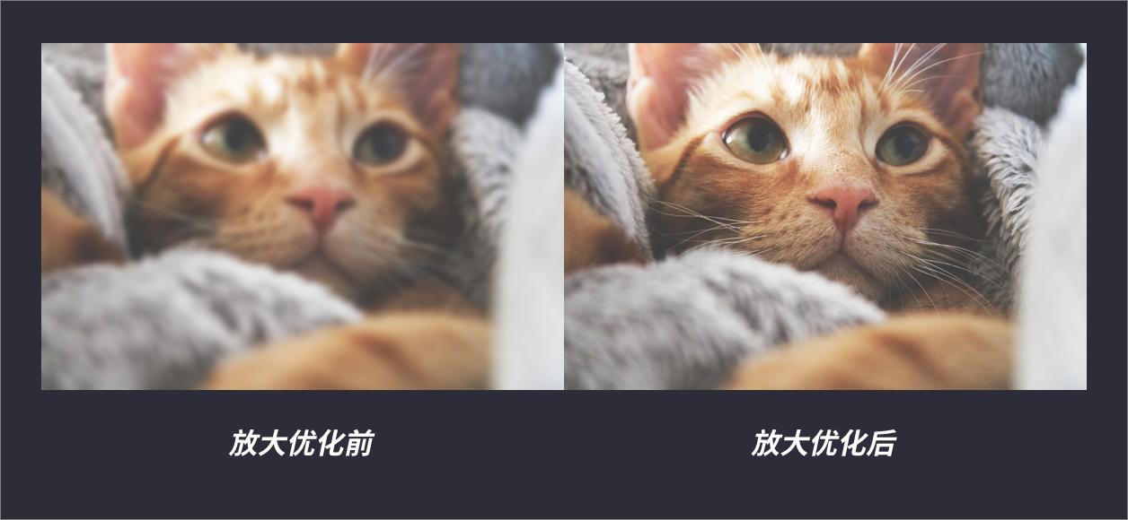 这5个鲜为人知的黑科技网站,让人无法拒绝的5个黑科技网站