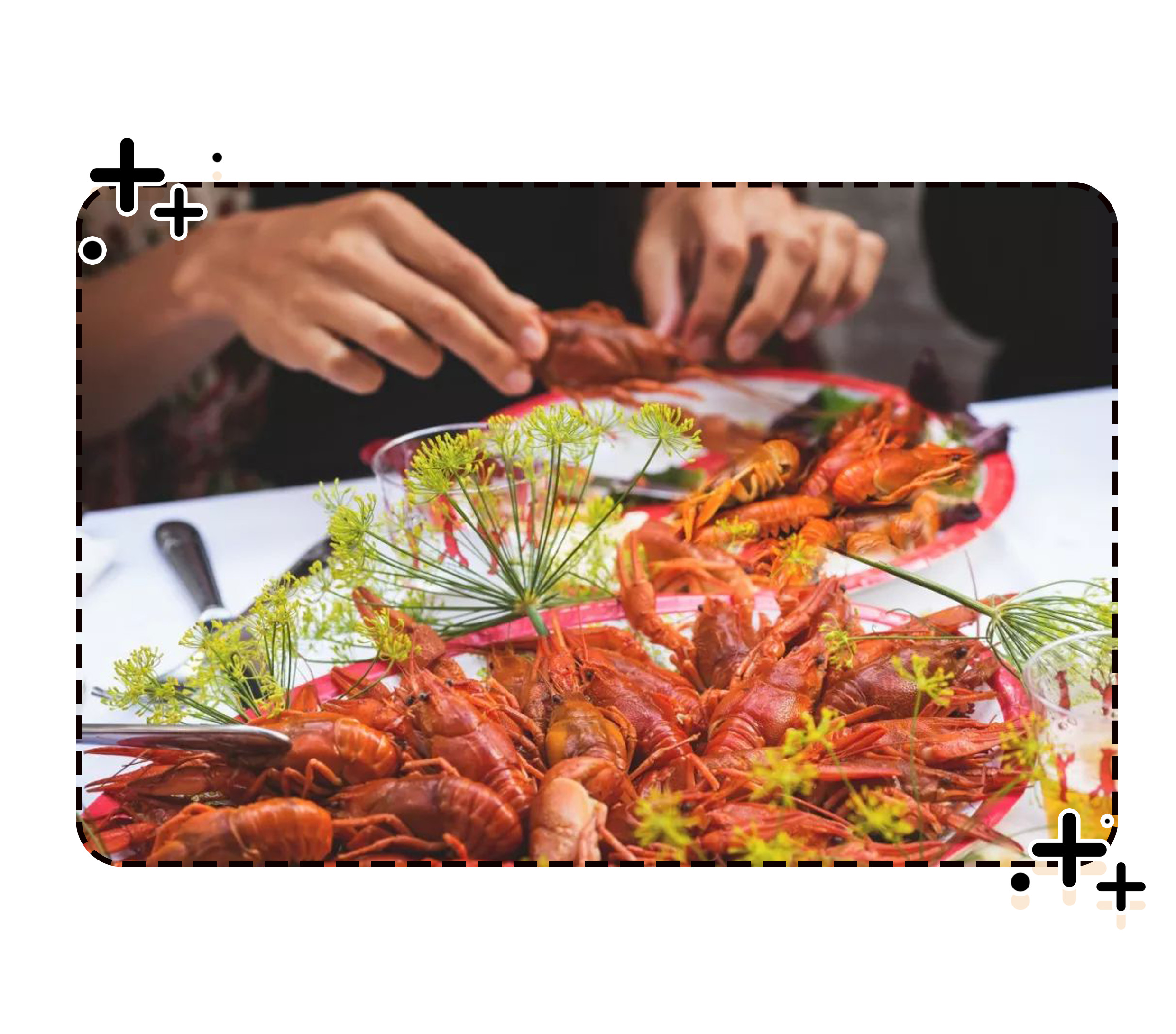 在被摆上餐桌之前，小龙虾也曾让世界人民倍感绝望（菲李漫画）