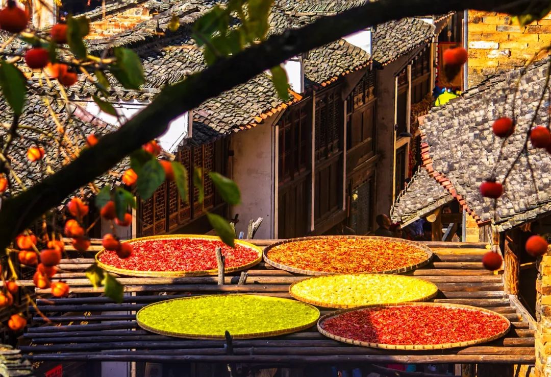 最值得去的10个国外旅行地,国内最值得去的二十个城市