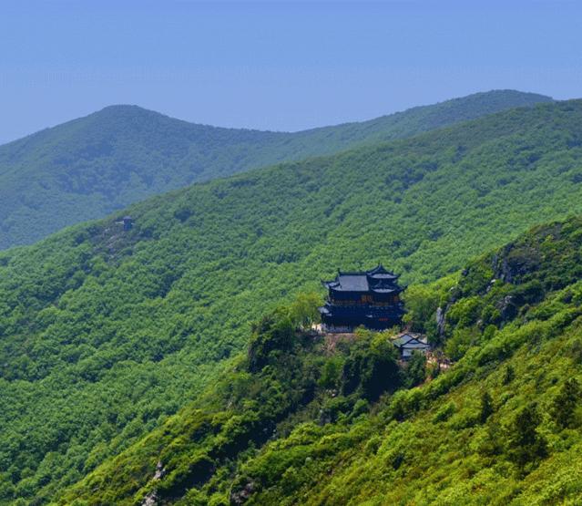 藏不住了！国庆节苏州这片花海美哭了！大人小孩玩到不想走