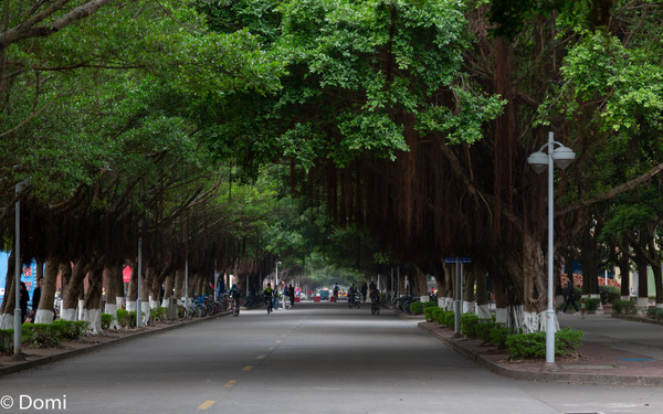 珠海值得游玩的地方推荐,珠海最值得玩的22个地方