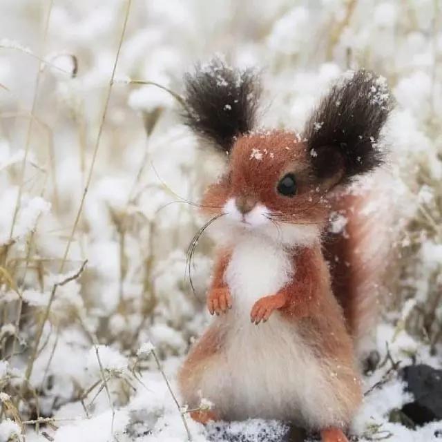 适合发说说的句子搞笑简短一点,很皮又很逗比的说说短句