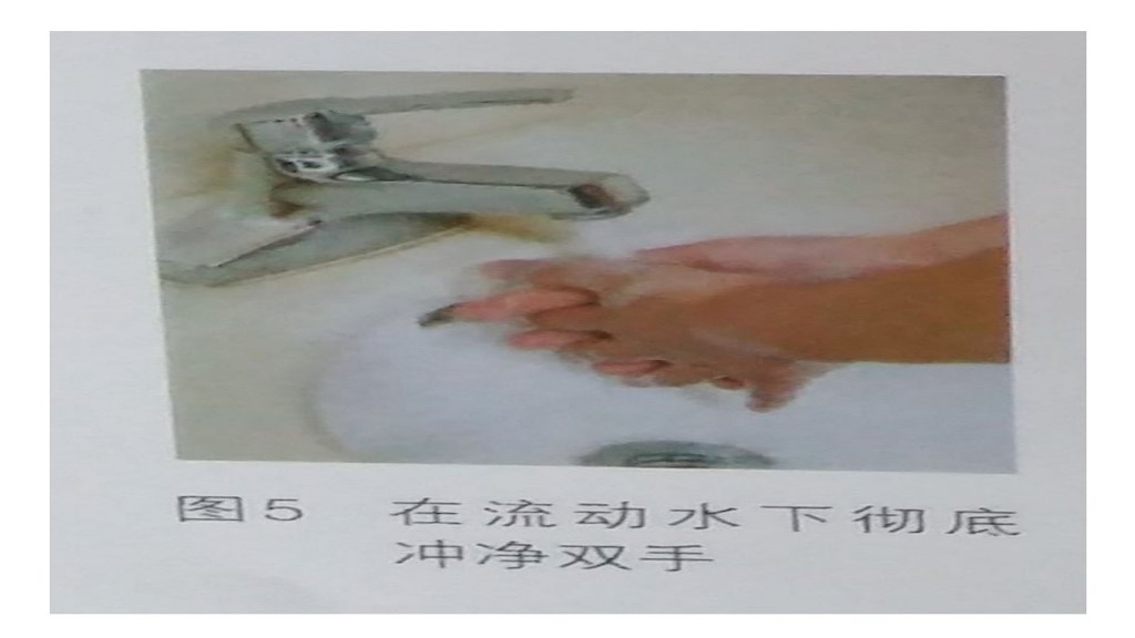 课件-环境微生物采样方法