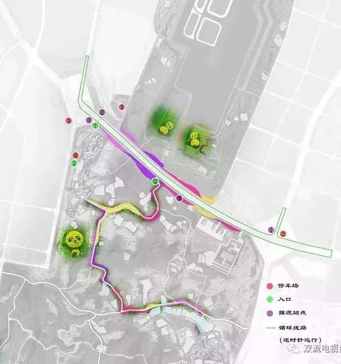 来成都打卡空港花田,成都双流空港花田打卡看飞机