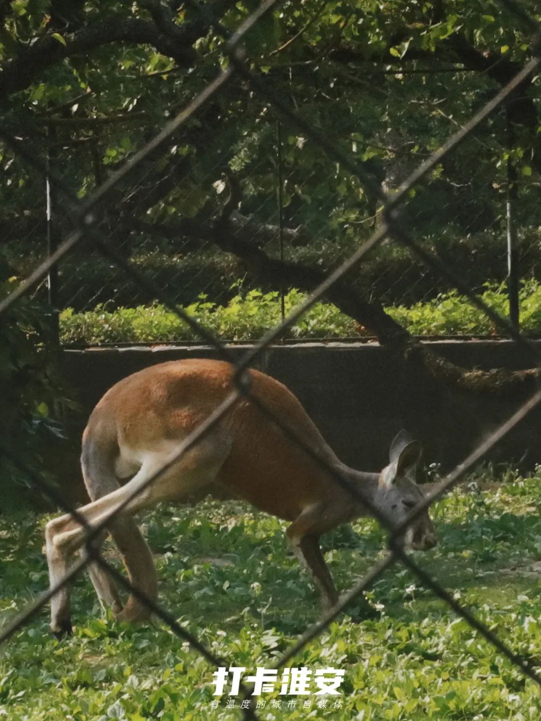 儿童节去儿童乐园,儿童节去公园玩