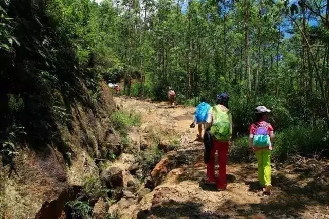 7月7日山间一潭水，悠游无夏日，狮子头莲花坑溯溪潜水开炉腐败