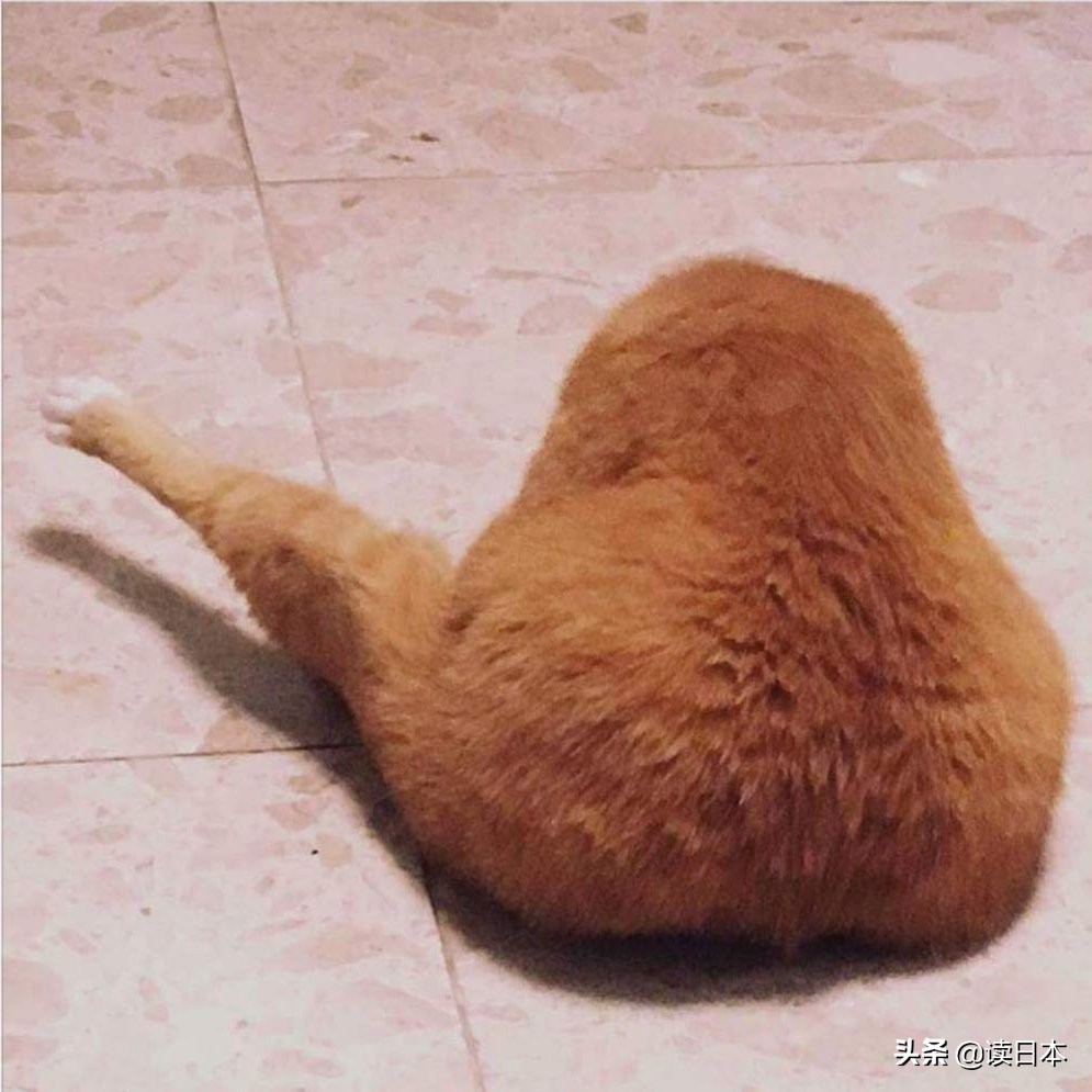 沙雕手办日本小哥,日本沙雕手办小哥哥