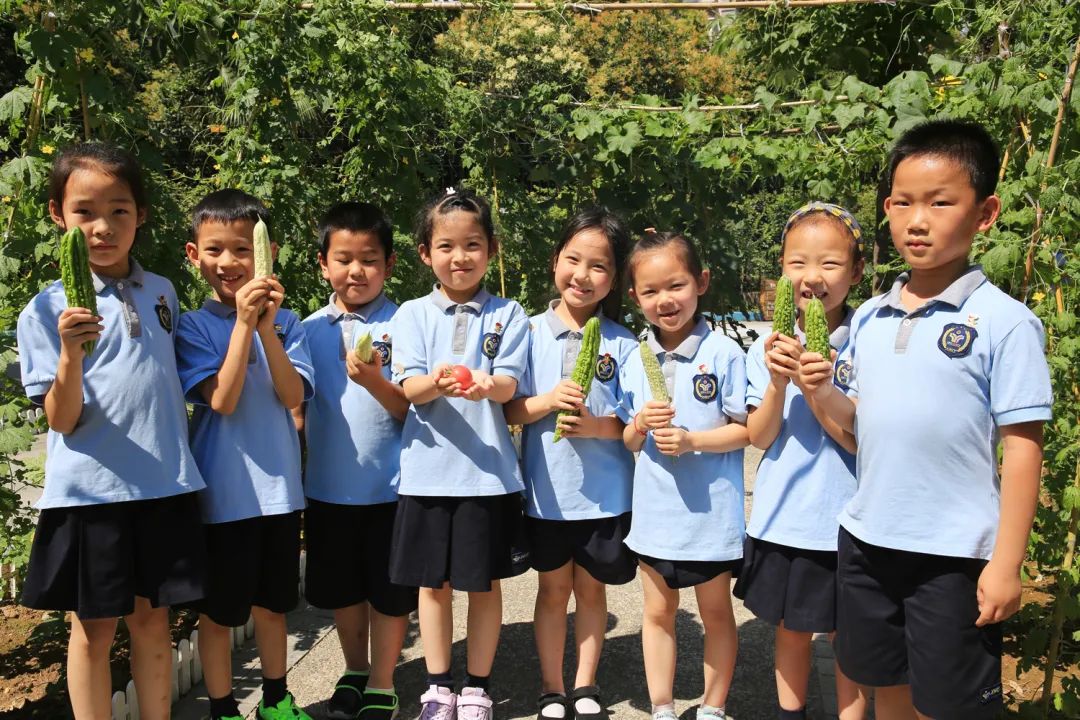 课后服务针对义务教育阶段吗,课后服务对教育教学的改变