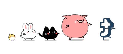 乌龟为什么能长寿,乌龟为什么这么长寿