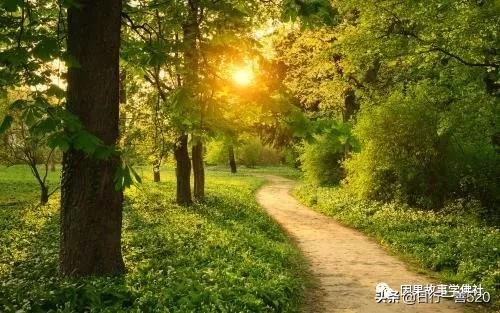 十个真实的鬼故事,十三个真实的鬼故事