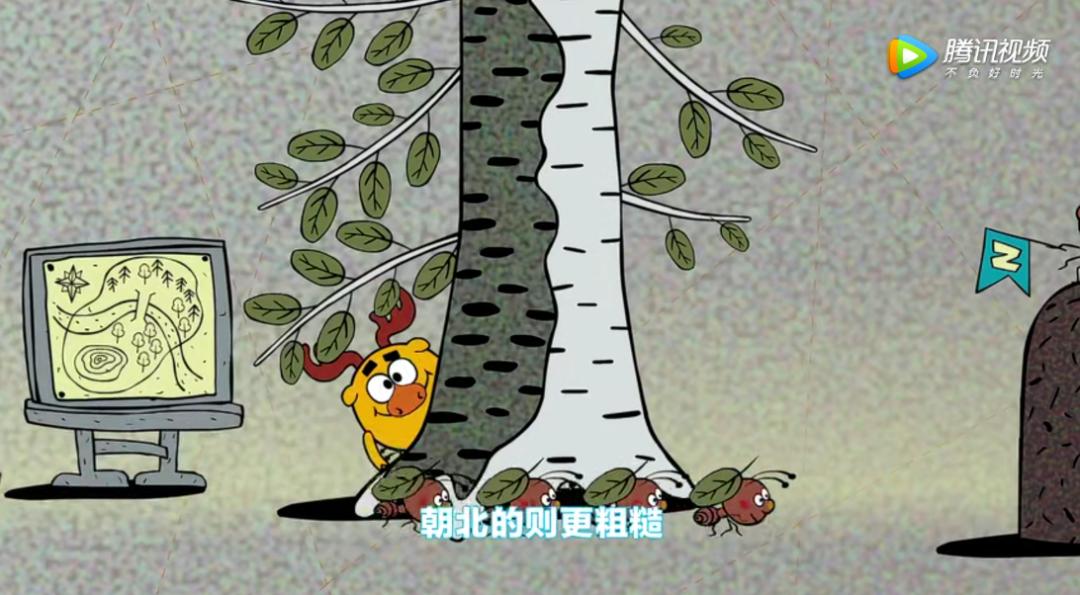 最近迷上了一部动画，一查，原来它是首部诺贝尔奖科普动画