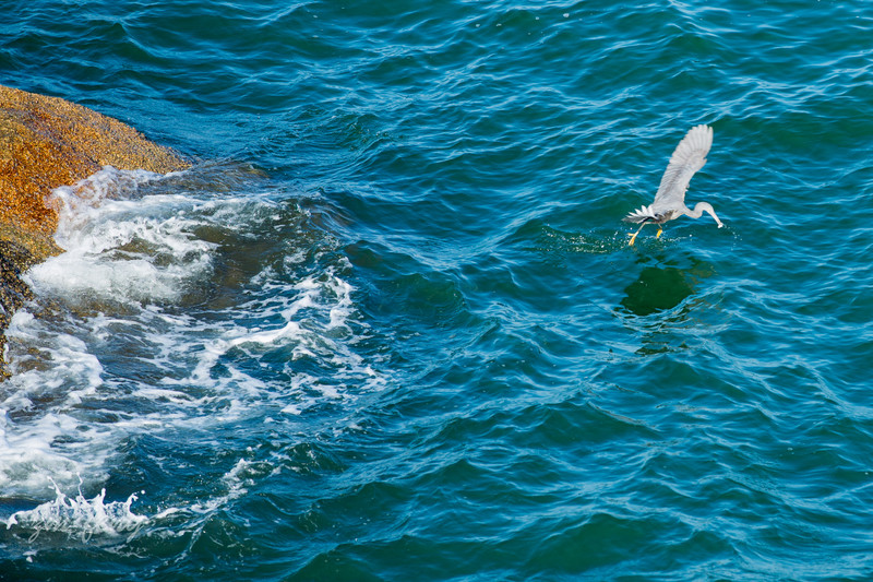 广州十大浪漫景点盘点,广州超级小众的城市