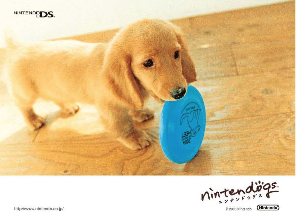 涉黑涉恶涉毒涉赌,黄赌毒涉黑涉恶