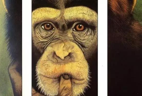 绘本大猩猩的寓意是什么,绘本大猩猩推荐理由