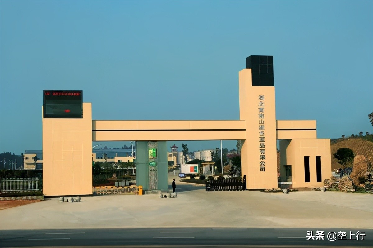 赏美景品好茶鉴好物，全国媒体团“陶醉”通城