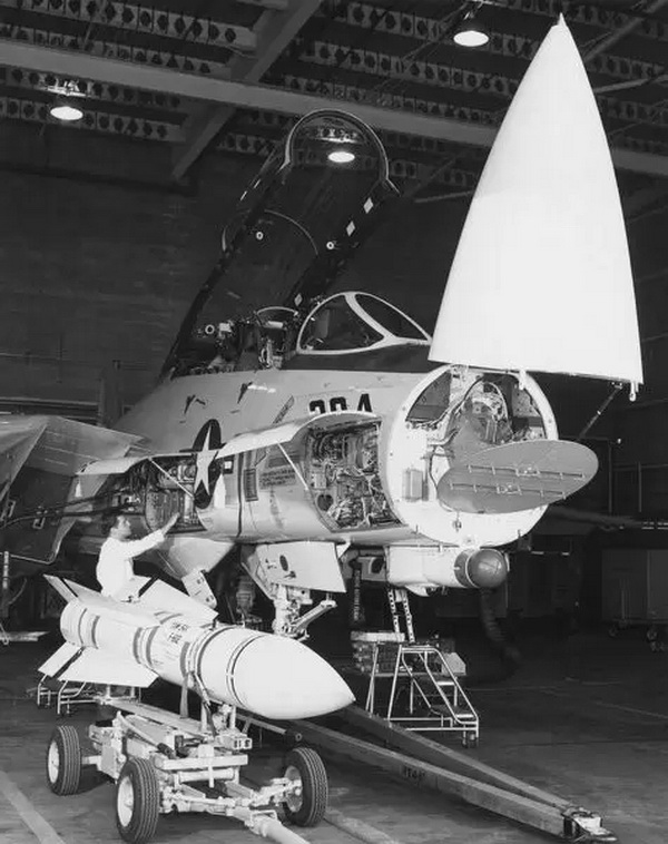 猫迷必备技能，F-14各型号的辨别