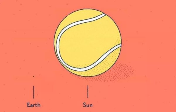 袋鼠有二个子宫,袋鼠有三个育儿袋
