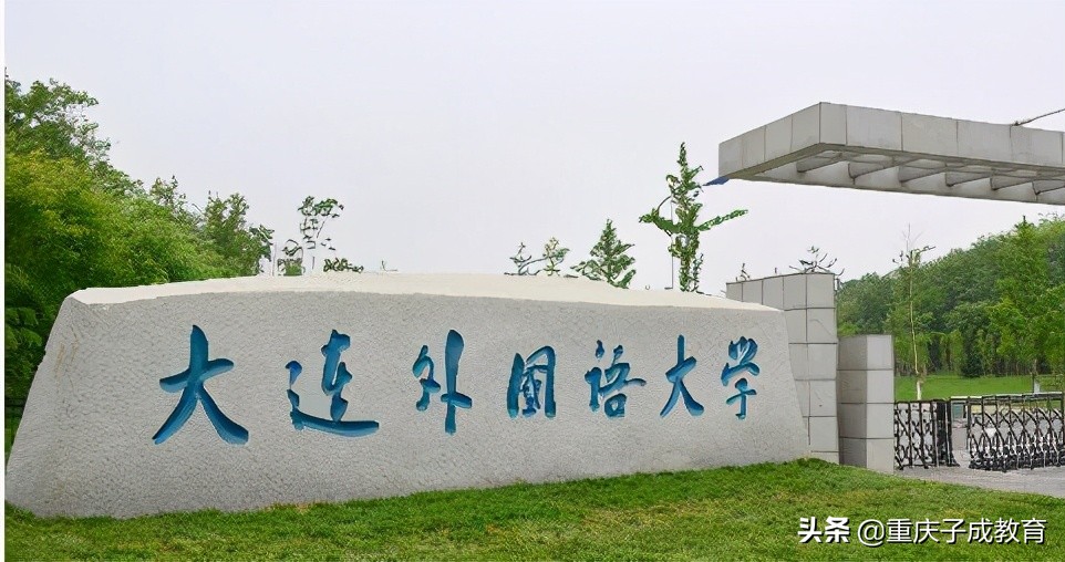 中国最具特点的二十所高校,中国高校前二十名大学