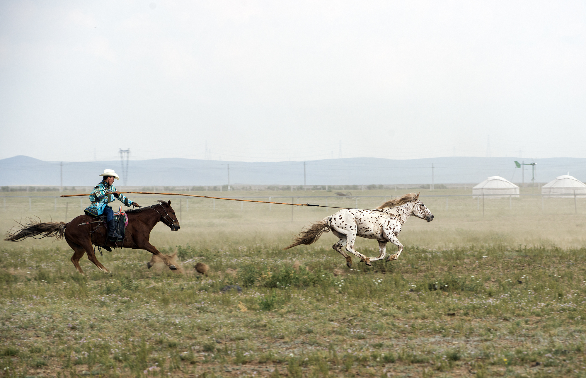 蒙古族传统体育之赛马,蒙古族传统体育项目博克