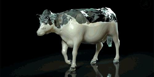 奶粉就是宝宝口粮,奶粉是宝宝越长大喂得越多么