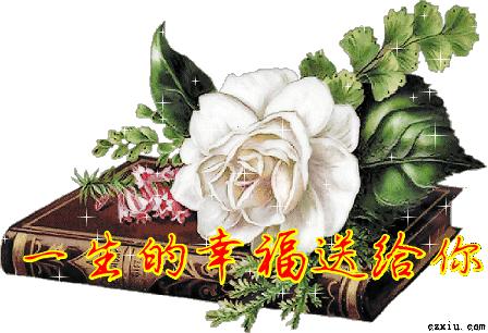 520情人节祝福语简短大全,520情人节祝福送上真的太美了