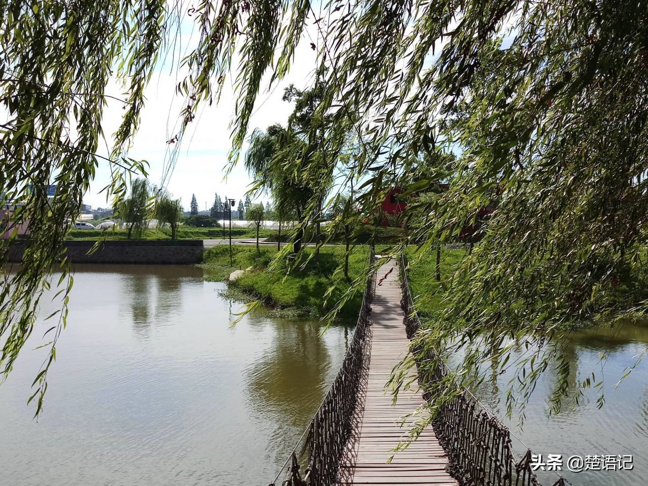 句容白兔镇草莓之乡,白兔镇樱花园