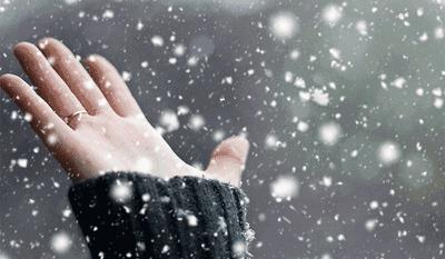 岁暮清欢浅冬安暖的意思,岁暮清欢浅冬安暖全诗意思