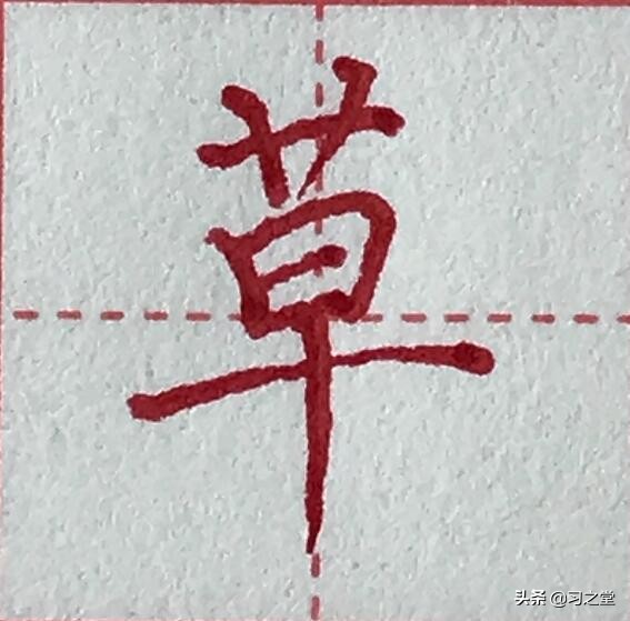 戏说汉字：“我屮艸芔茻”，一句网红吐槽话背后的汉字奇谈