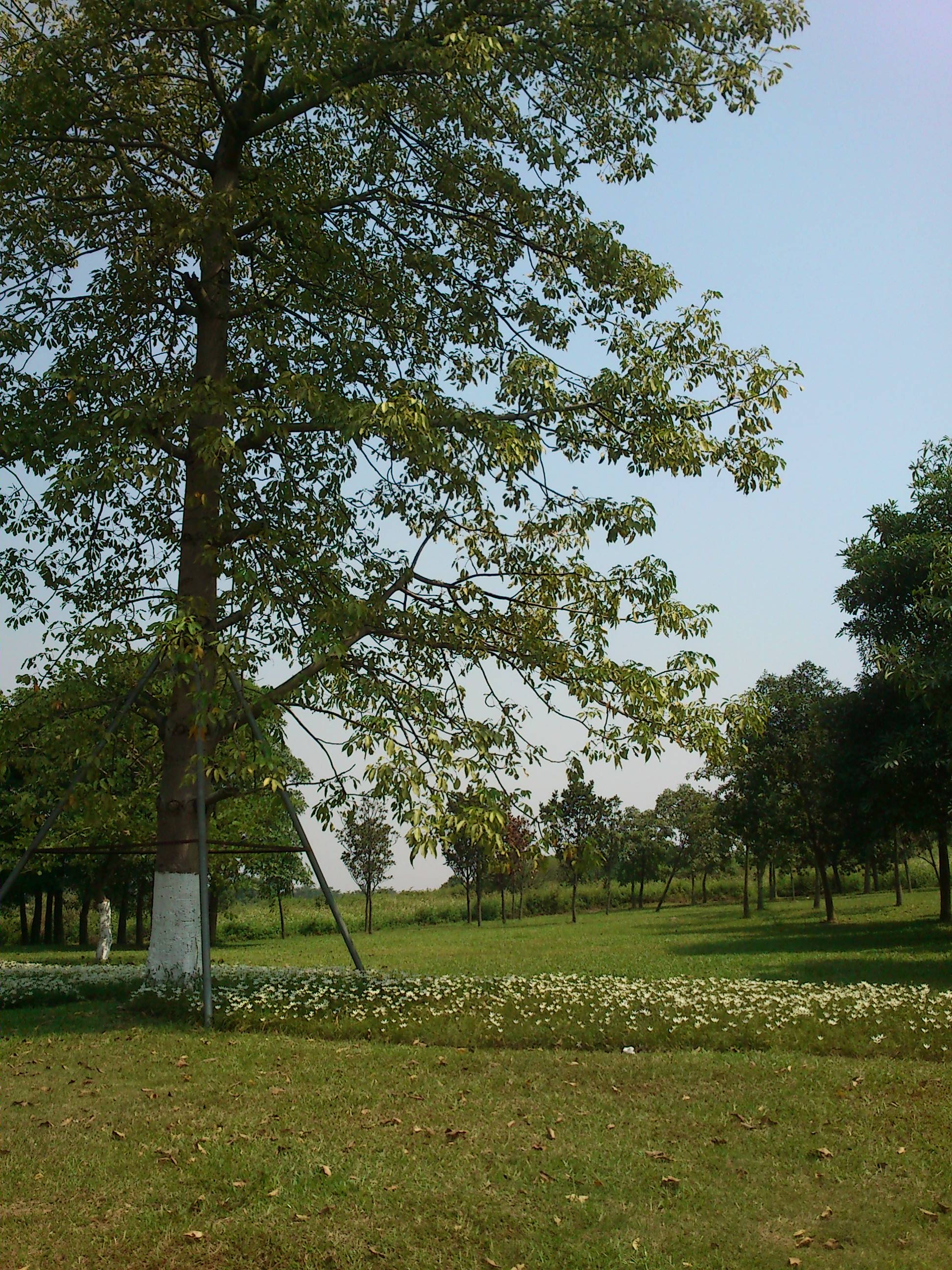 这些年的旅行足迹,这些年的旅行