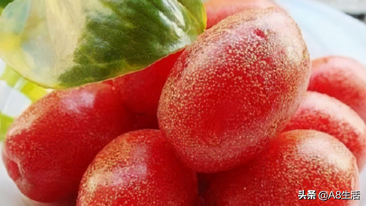 种羊奶果的前景,羊奶果种植基地在哪