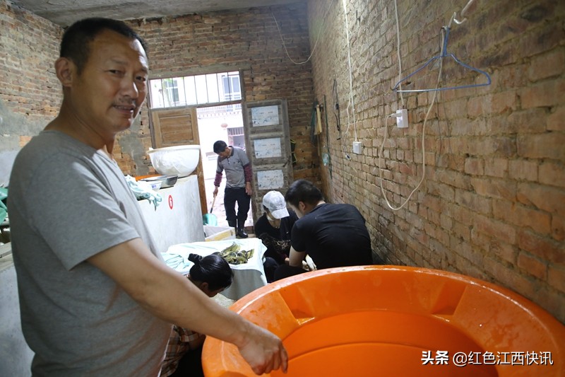 段元星的“泥鳅经”：育苗养殖一条龙脱贫路上“加速度”