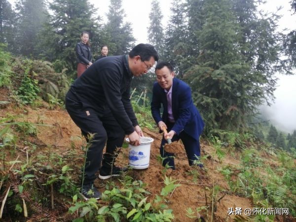 阿里山和日月潭简介,阿里山日月潭在同一位置吗