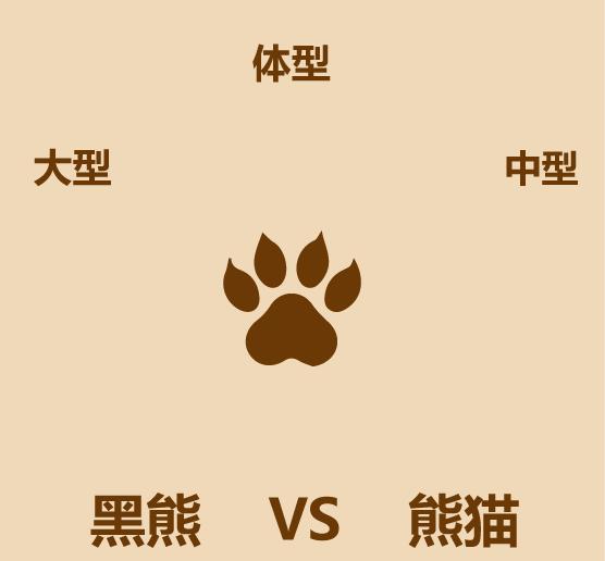 1分钟内黑熊走多远,大熊猫和黑熊谁厉害