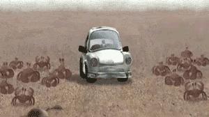 吃蟹时节到！螃蟹必须吃活的吗？吃蟹有哪些讲究？如何挑选好蟹？