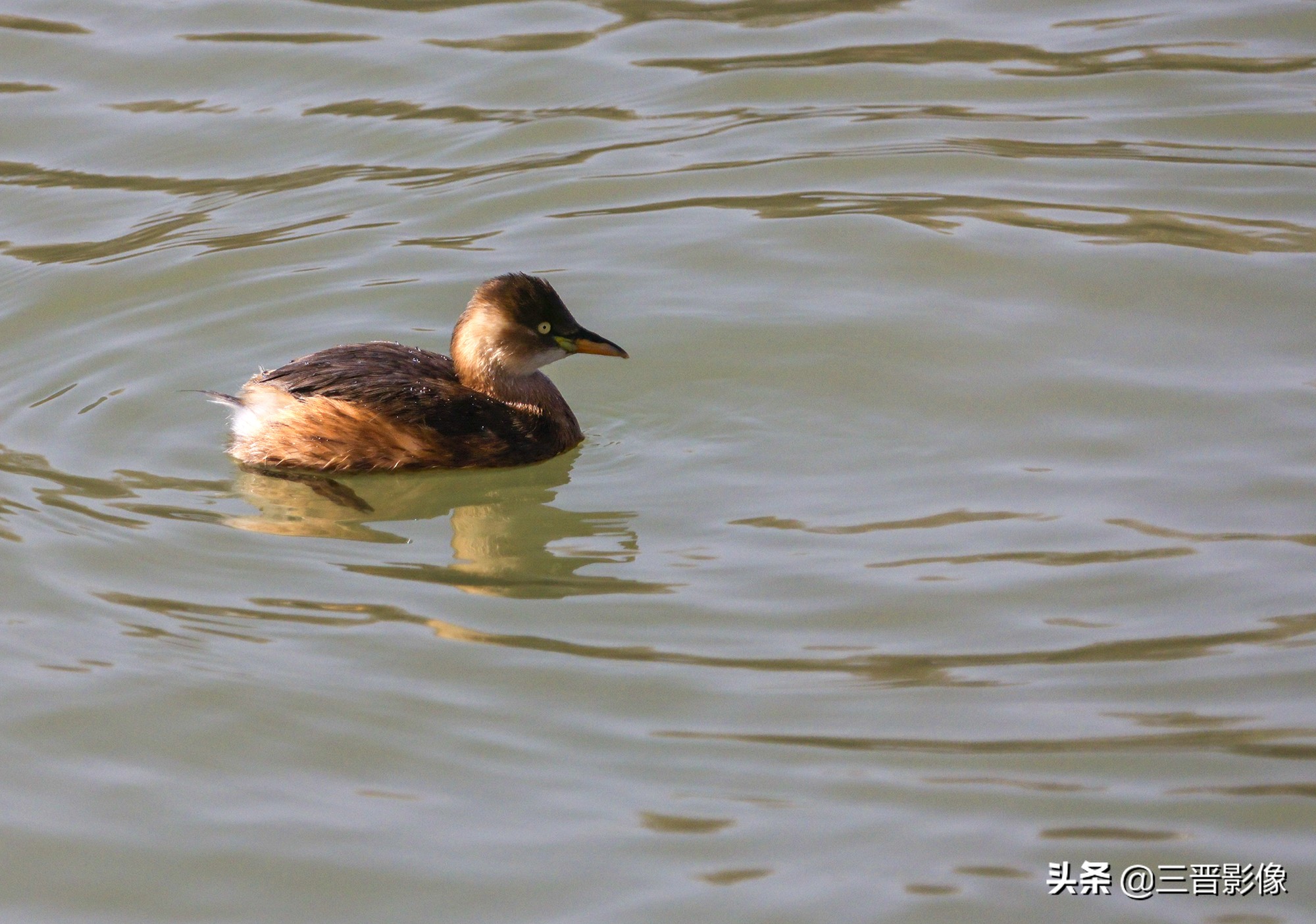 佳能r5转接佳能ef50l拍摄的作品,佳能r5转接ef镜头感觉没有5d4清晰