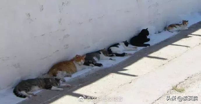 怎么判断男生直不直男,如何判断一个男生直不直