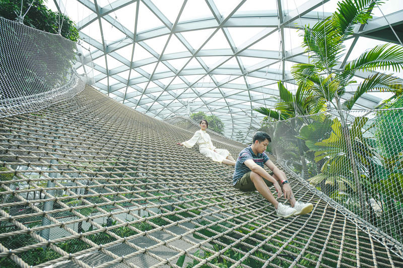 一人一猫环游,一人一猫旅行