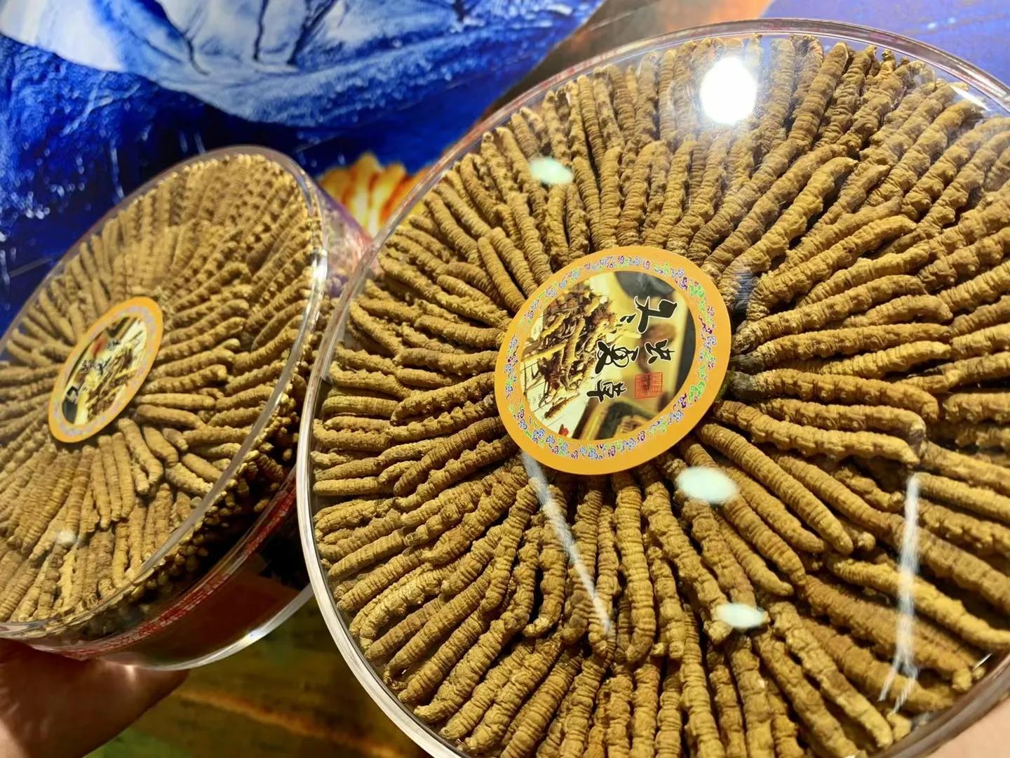 冬虫夏草炖鸡汤放什么材料最好呢,冬虫夏草的最佳吃法虫草炖鸡