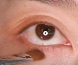 零基础学画眼影用什么牌子的,零基础单眼皮化妆入门教学眼影