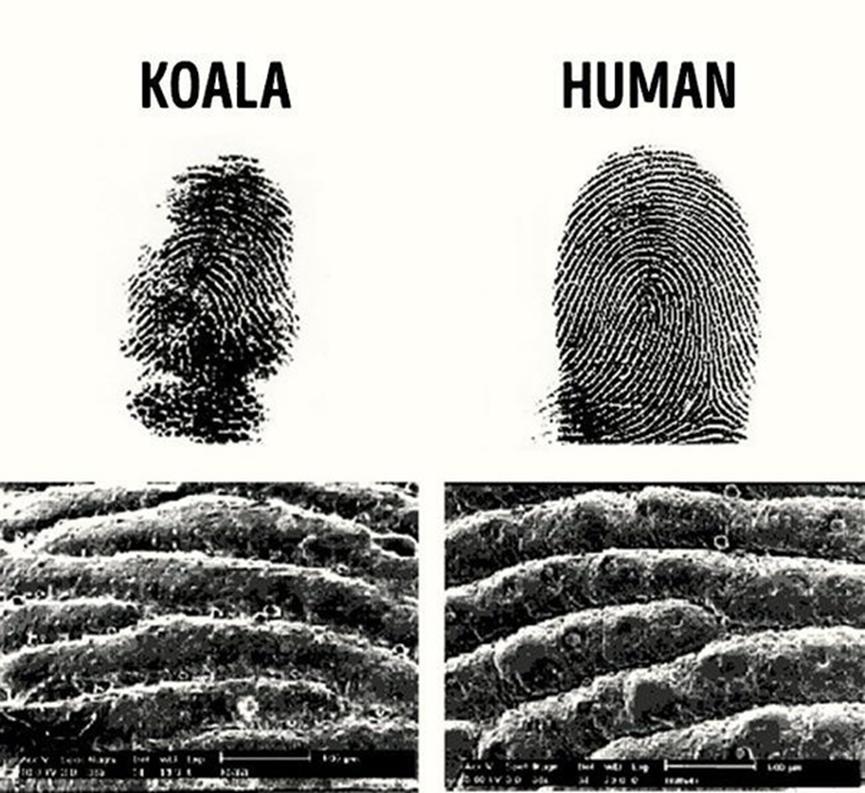 有哪些事实听起来是假的，但实际上却是真的？（第二期）