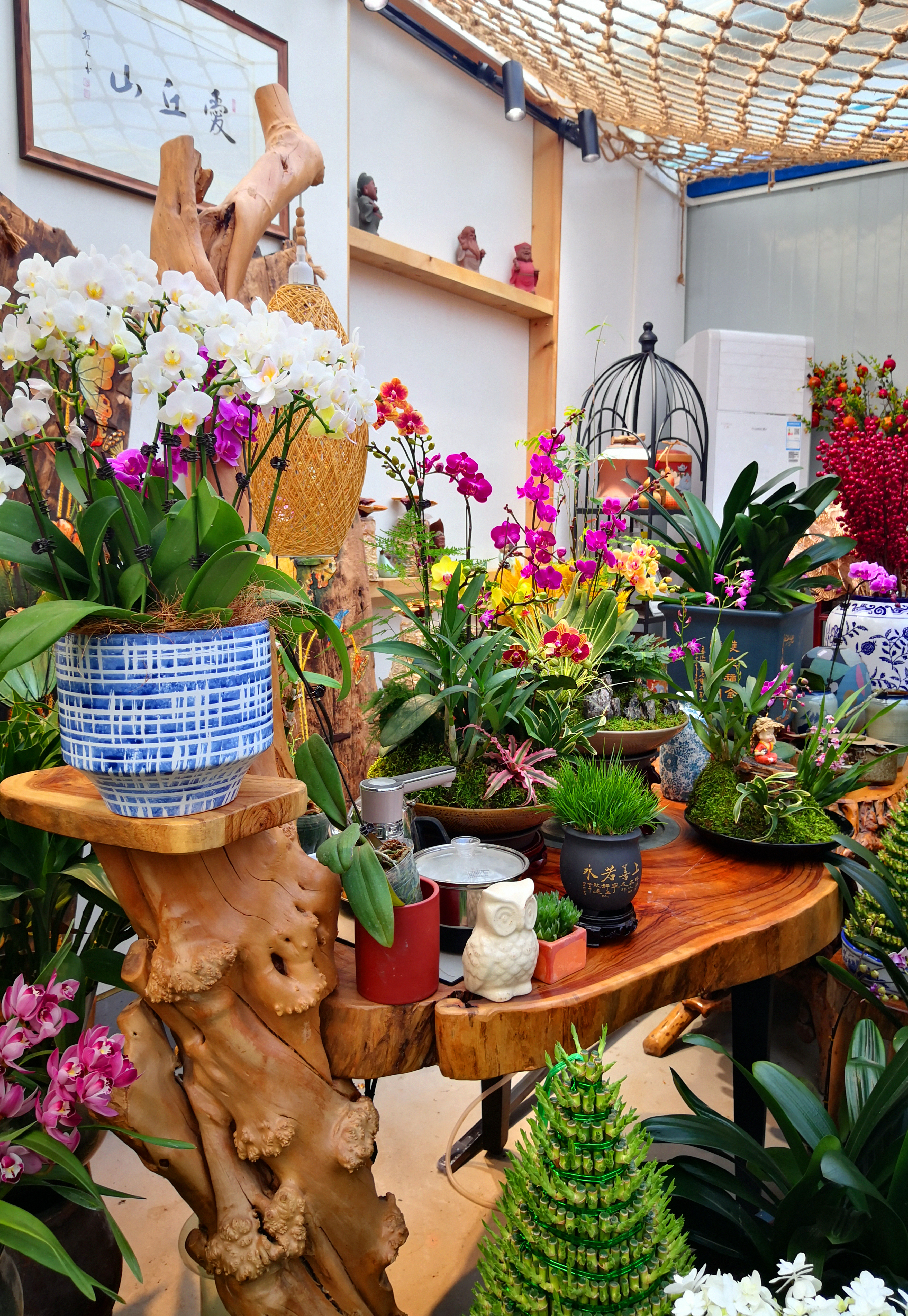 东营最大的花卉批发市场在哪里,东营地区哪里有花卉市场