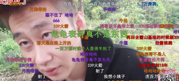 339斗鱼虎皇,斗鱼339老虎皇