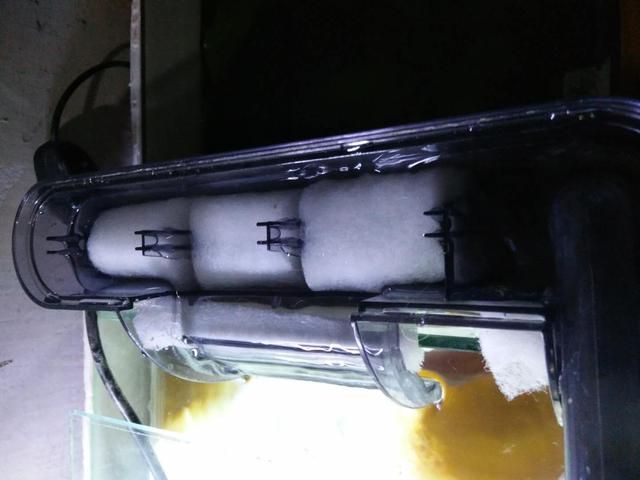 鱼缸细菌屋放在底砂底下吗,鱼缸细菌屋下面