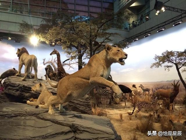 河南科技馆童梦乐园适合多大孩子,河南新科技馆攻略童梦乐园