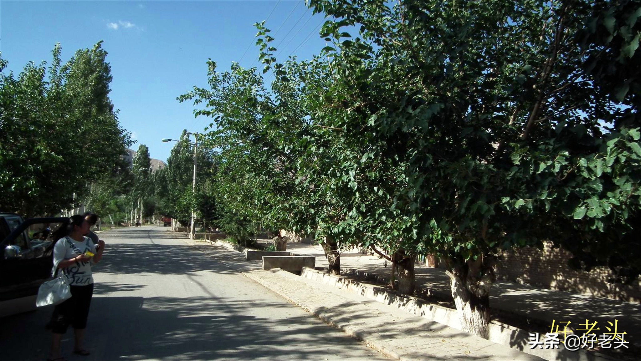 库尔勒轮台胡杨林风景区,胡杨林景区轮台