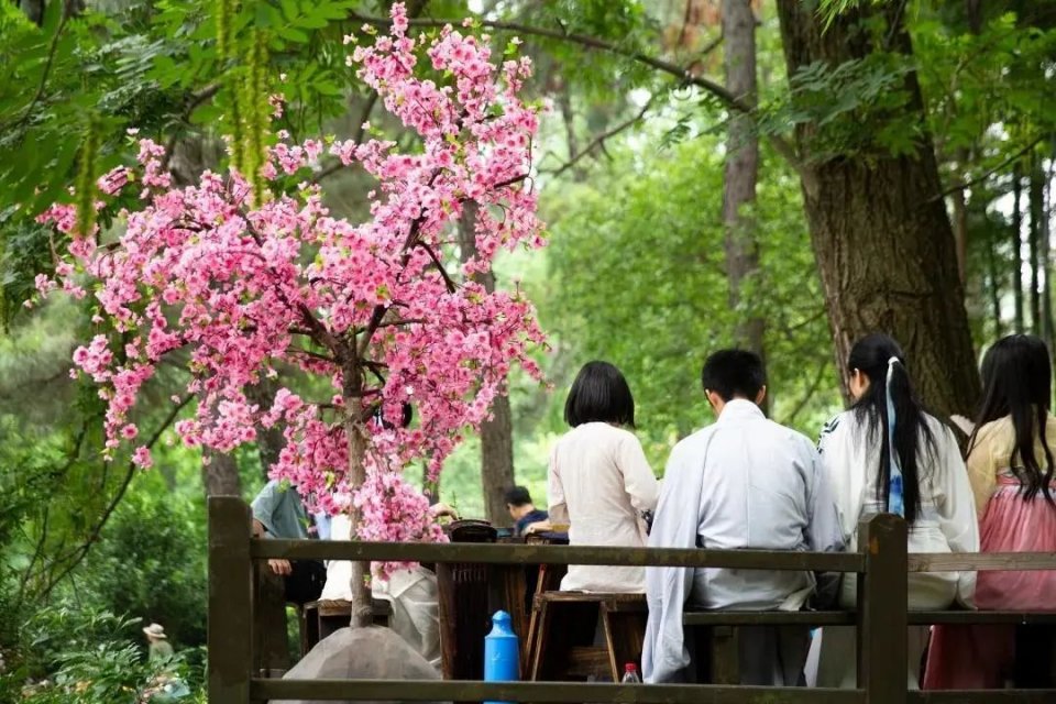 @常熟人，四月不野餐，就是对春天的浪费!