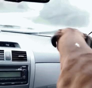 靠谱的素材收集工具,大神们都在用什么软件找素材